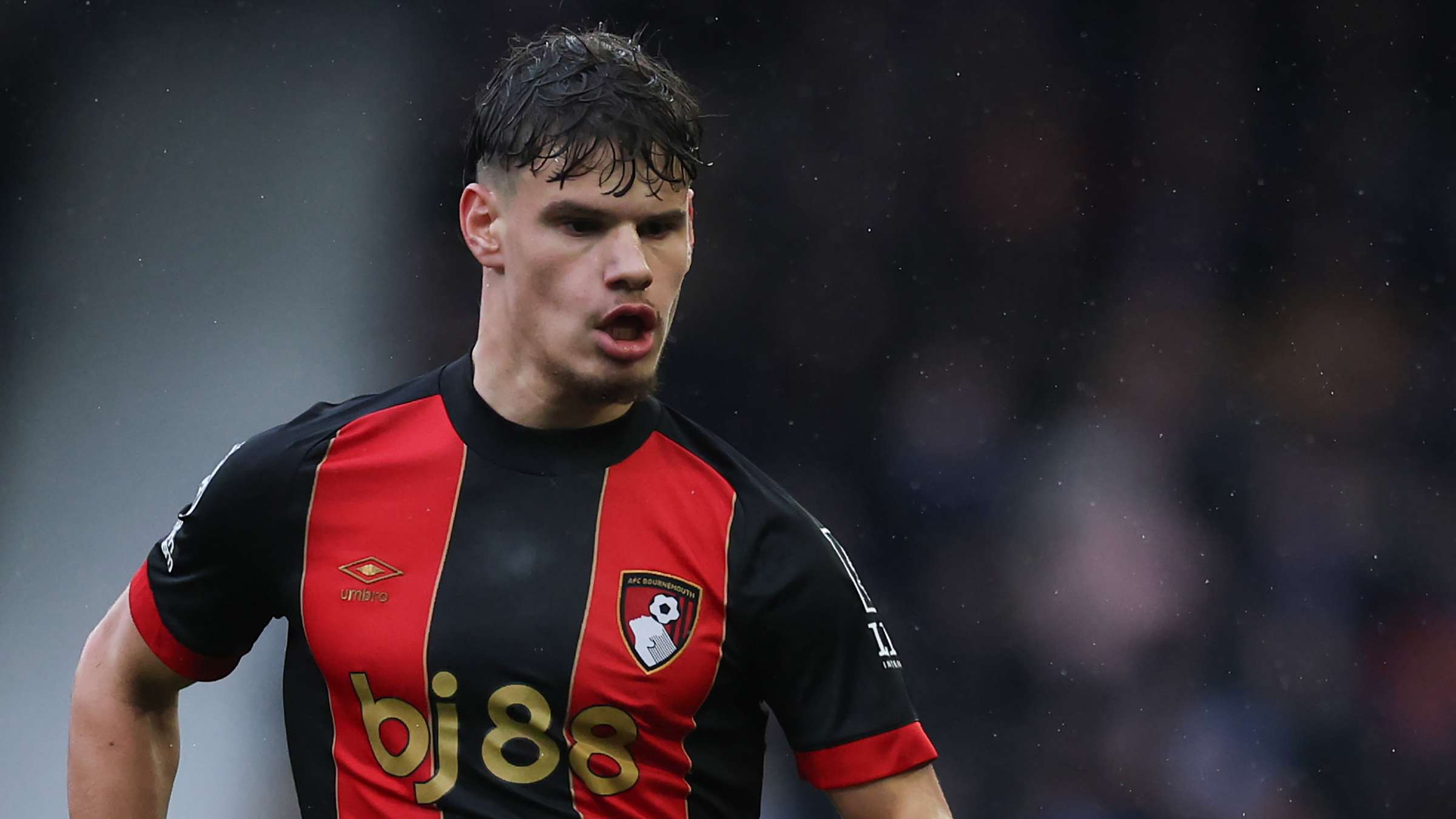 意大利队在 意大利队在